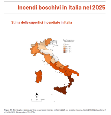 superficie incendi 2025 mappa italia regioni