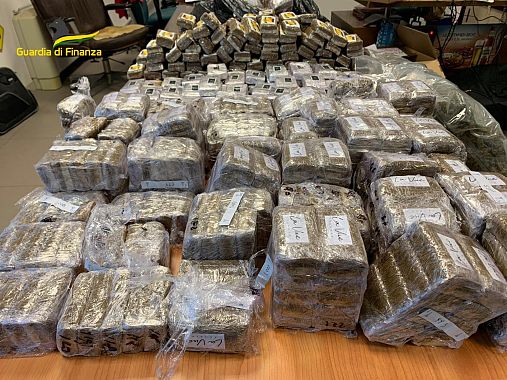 Parte della droga sequestrata