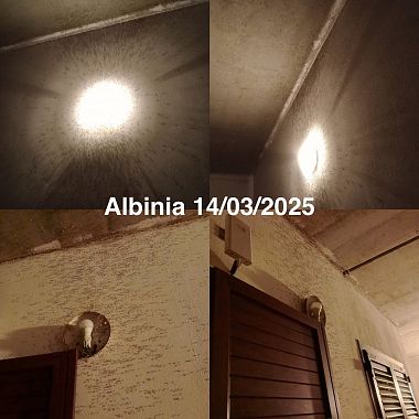 I moscerini ad Albinia