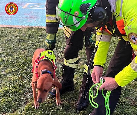 Il cane soccorso