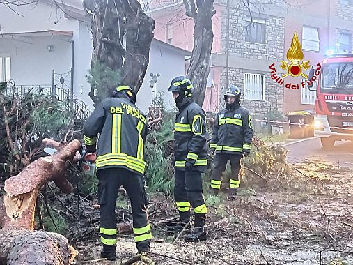 Le operazioni di alleggerimento delle fronde