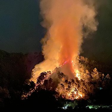L'incendio sulle colline di Massa (foto da Fb) 2