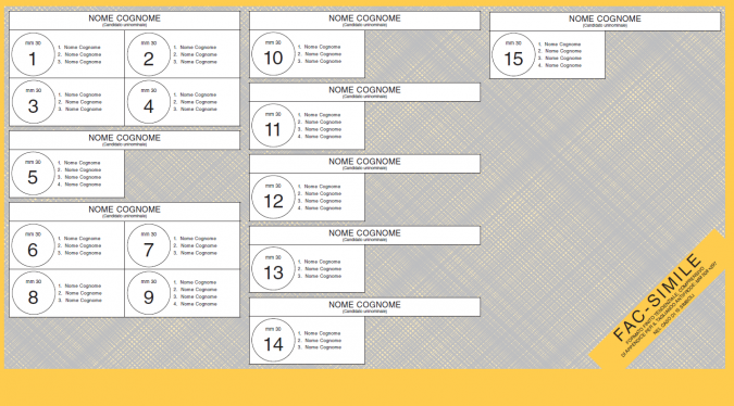 Il fac simile dell'interno della scheda elettorale per il Senato