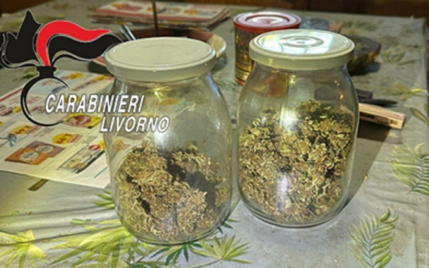 Infiorescenze essiccate già in barattolo