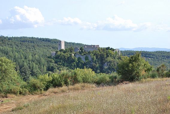 Rocca Silvana