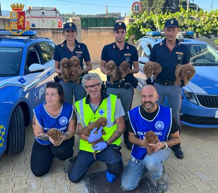 Agenti della Polstrada con i cuccioli salvati