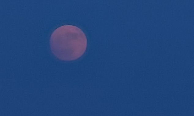 La Luna delle Fragole sopra Firenze