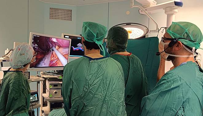 L'utilizzo del software per la ricostruzione anatomica 3D di un rene