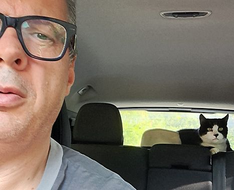 Gatto Saverio in auto col sindaco che lo riporta a casa